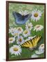 Butterflies and Daisies-Fred Szatkowski-Framed Art Print