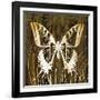 Butterflies and Leaves I-Erin Clark-Framed Giclee Print