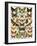 Butterflies and Moths Common to Europe-null-Framed Giclee Print