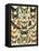Butterflies and Moths Common to Europe-null-Framed Stretched Canvas