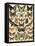 Butterflies and Moths Common to Europe-null-Framed Stretched Canvas