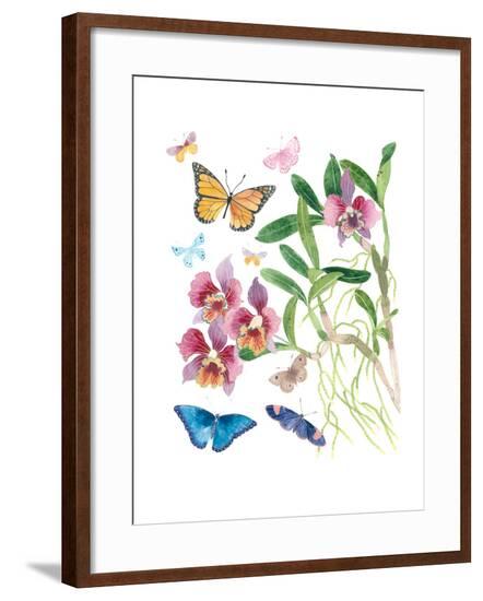 Butterflies and Orchids 1-Gabby Malpas-Framed Art Print