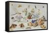 Butterflies and Other Insects, 1661-Jan Van, The Elder Kessel-Framed Stretched Canvas