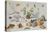 Butterflies and Other Insects, 1661-Jan Van, The Elder Kessel-Stretched Canvas