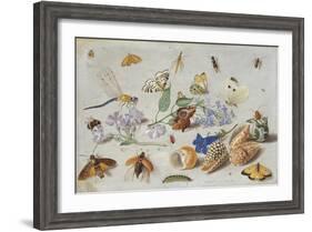 Butterflies and Other Insects, 1661-Jan Van, The Elder Kessel-Framed Giclee Print