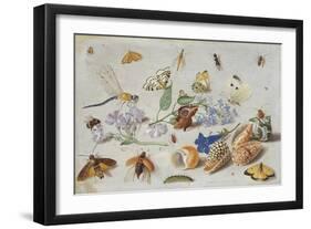 Butterflies and Other Insects, 1661-Jan Van, The Elder Kessel-Framed Giclee Print