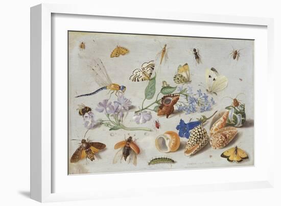 Butterflies and Other Insects, 1661-Jan Van, The Elder Kessel-Framed Giclee Print