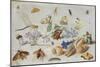 Butterflies and Other Insects, 1661-Jan Van, The Elder Kessel-Mounted Giclee Print