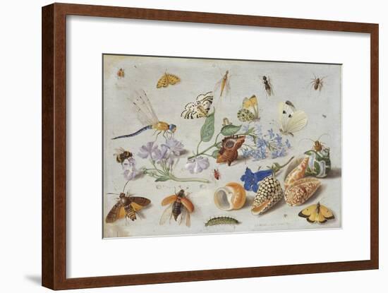 Butterflies and Other Insects, 1661-Jan Van, The Elder Kessel-Framed Giclee Print