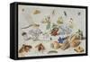 Butterflies and Other Insects, 1661-Jan Van, The Elder Kessel-Framed Stretched Canvas
