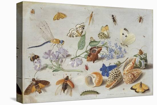 Butterflies and Other Insects, 1661-Jan Van, The Elder Kessel-Stretched Canvas