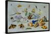 Butterflies and Other Insects, 1661-Jan Van, The Elder Kessel-Stretched Canvas