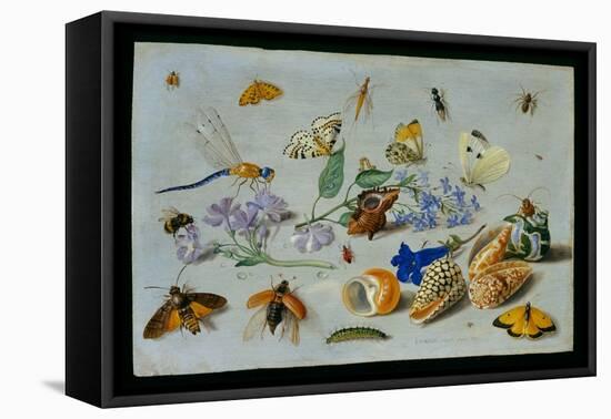 Butterflies and Other Insects, 1661-Jan Van, The Elder Kessel-Framed Stretched Canvas