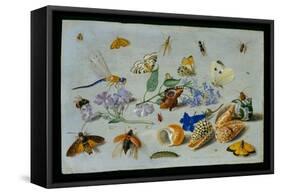 Butterflies and Other Insects, 1661-Jan Van, The Elder Kessel-Framed Stretched Canvas