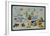 Butterflies and Other Insects, 1661-Jan Van, The Elder Kessel-Framed Giclee Print