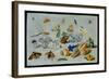 Butterflies and Other Insects, 1661-Jan Van, The Elder Kessel-Framed Giclee Print