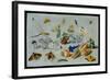 Butterflies and Other Insects, 1661-Jan Van, The Elder Kessel-Framed Giclee Print