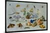 Butterflies and Other Insects, 1661-Jan Van, The Elder Kessel-Mounted Giclee Print