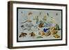 Butterflies and Other Insects, 1661-Jan Van, The Elder Kessel-Framed Giclee Print