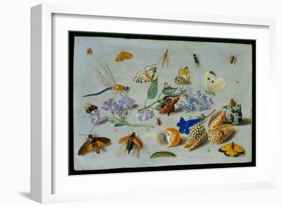 Butterflies and Other Insects, 1661-Jan Van, The Elder Kessel-Framed Giclee Print