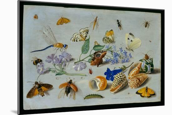 Butterflies and Other Insects, 1661-Jan Van, The Elder Kessel-Mounted Giclee Print