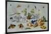 Butterflies and Other Insects, 1661-Jan Van, The Elder Kessel-Mounted Giclee Print