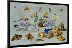 Butterflies and Other Insects, 1661-Jan Van, The Elder Kessel-Mounted Giclee Print