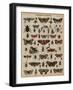 Butterflies and Other Insects (Coloured Engraving)-French School-Framed Giclee Print