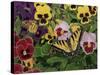 Butterflies and Pansies-William Vanderdasson-Stretched Canvas