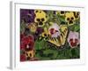 Butterflies and Pansies-William Vanderdasson-Framed Giclee Print