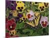 Butterflies and Pansies-William Vanderdasson-Mounted Giclee Print
