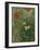 Butterflies and Poppies-Vincent van Gogh-Framed Premium Giclee Print