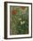 Butterflies and Poppies-Vincent van Gogh-Framed Premium Giclee Print