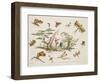 Butterflies and Two Central Figures-Jean Baptiste Pillement-Framed Giclee Print