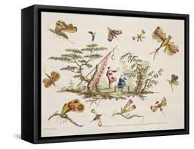 Butterflies and Two Central Figures-Jean Baptiste Pillement-Framed Stretched Canvas