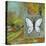 Butterflies are Free-Blenda Tyvoll-Stretched Canvas