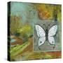 Butterflies are Free-Blenda Tyvoll-Stretched Canvas