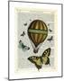 Butterflies & Balloon-Marion Mcconaghie-Mounted Art Print