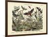 Butterflies, C.1860-null-Framed Giclee Print