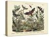 Butterflies, C.1860-null-Stretched Canvas