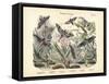 Butterflies, C.1860-null-Framed Stretched Canvas