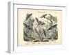 Butterflies, C.1860-null-Framed Giclee Print