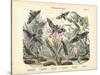 Butterflies, C.1860-null-Stretched Canvas