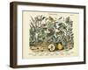 Butterflies, C.1860-null-Framed Giclee Print