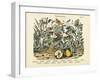 Butterflies, C.1860-null-Framed Giclee Print