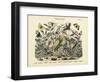 Butterflies, C.1860-null-Framed Giclee Print