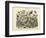 Butterflies, C.1860-null-Framed Giclee Print