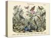 Butterflies, C.1860-null-Stretched Canvas