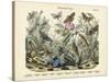 Butterflies, C.1860-null-Stretched Canvas