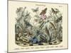Butterflies, C.1860-null-Mounted Giclee Print